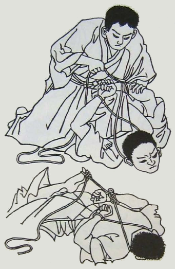 tachimi ryu haya nawa